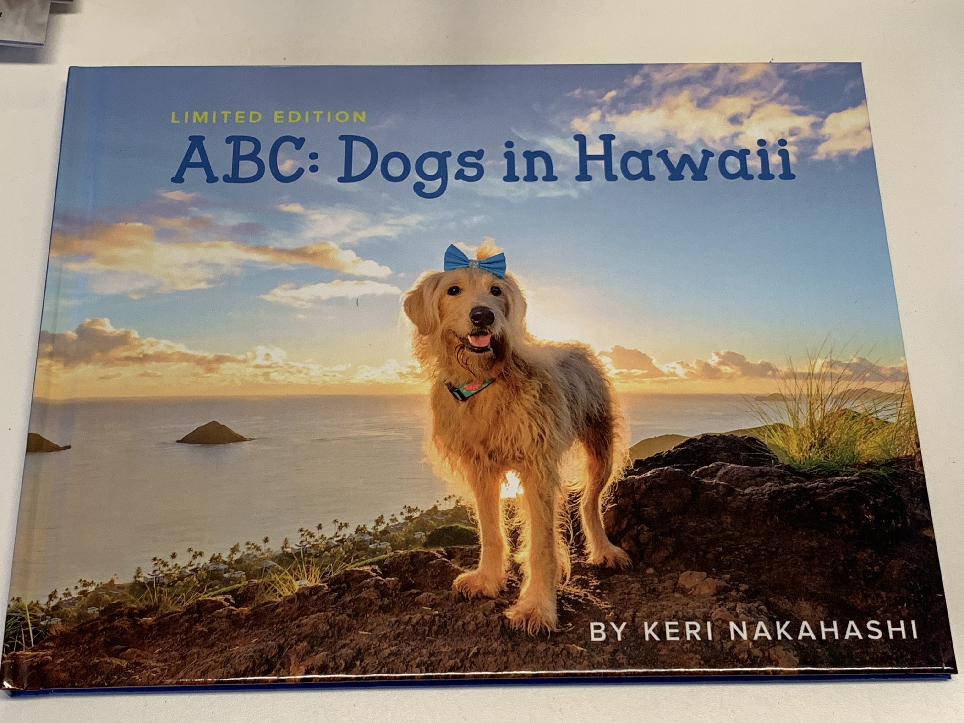 KNP - ABC: Dogs in Hawaii